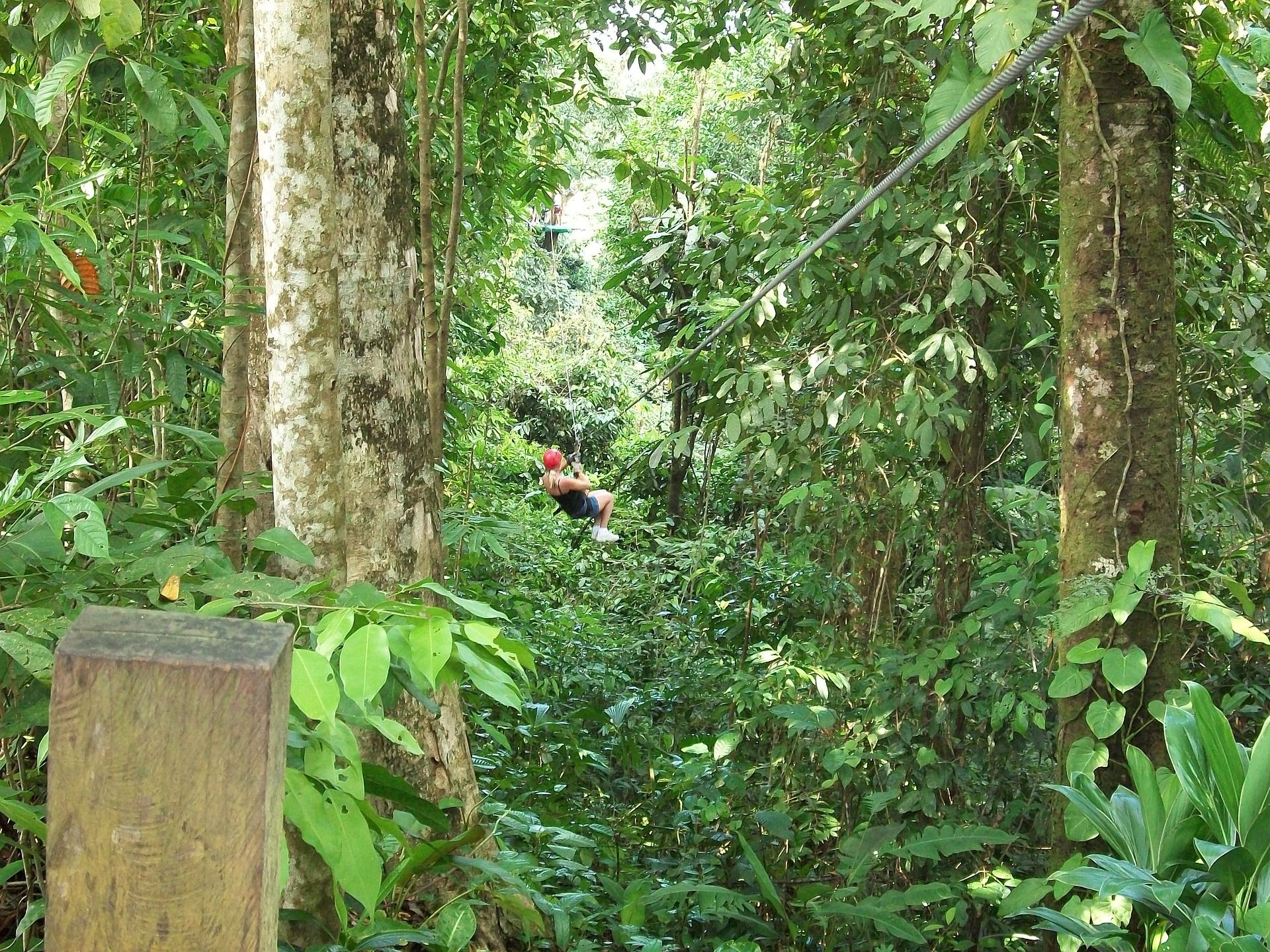 phuket zipline
