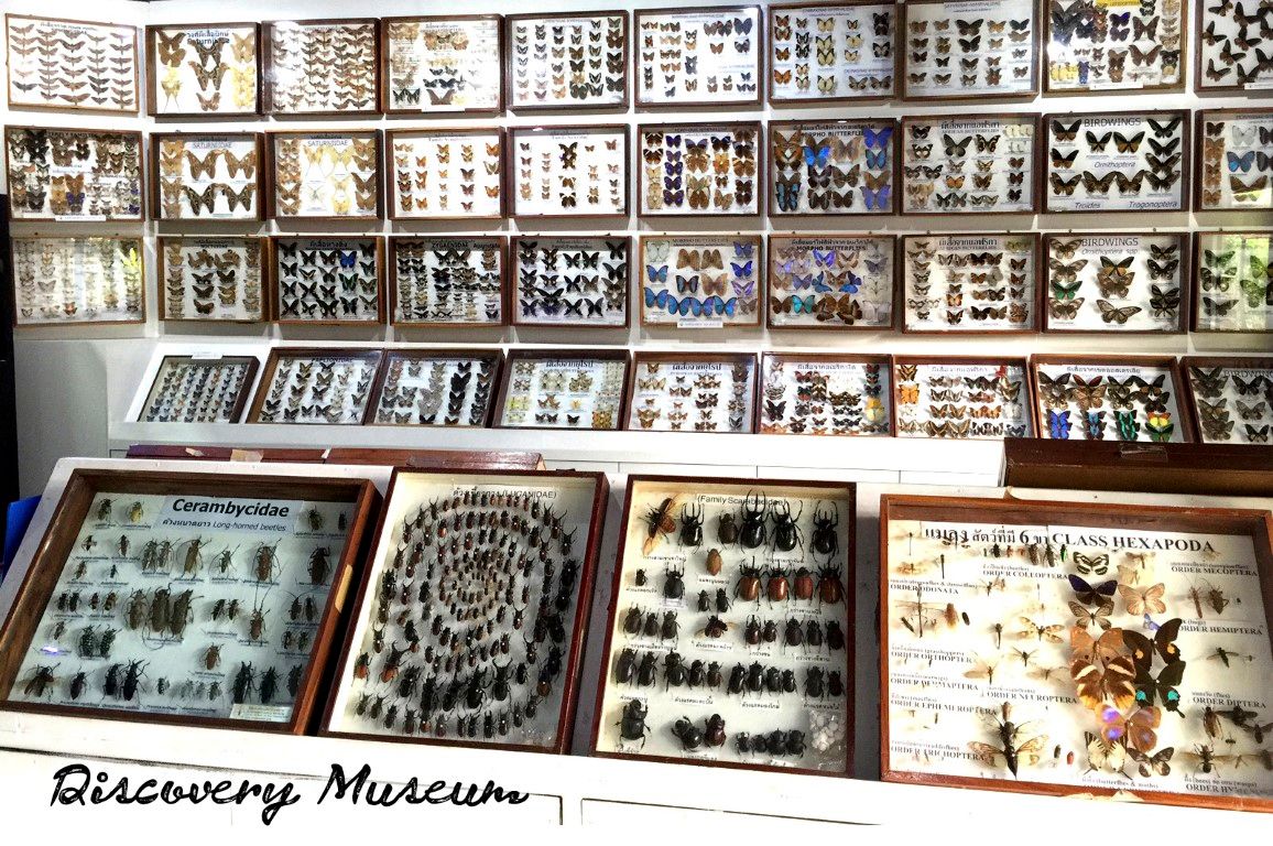 Siam Insect Zoo