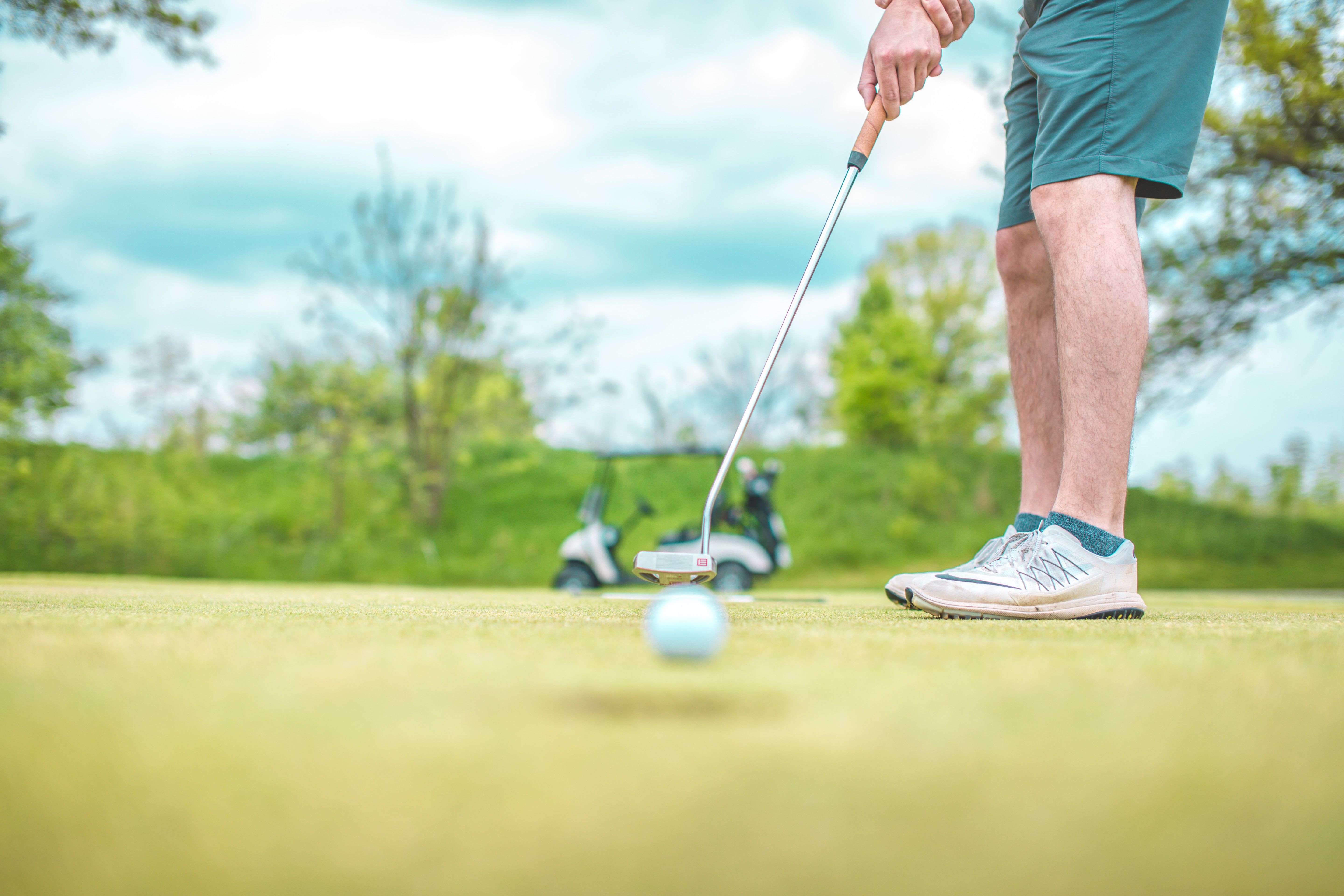 Golfdigg Transfer