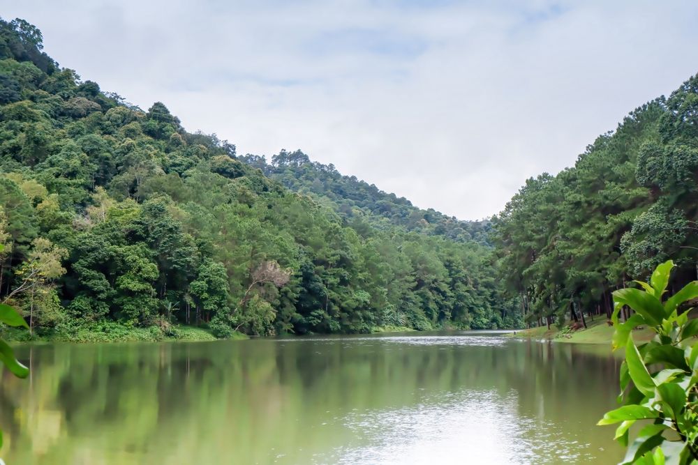 Pai River