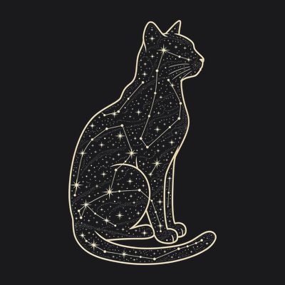 The Void