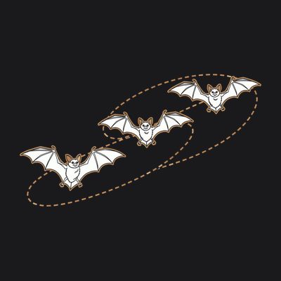 Flight Path