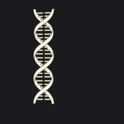 Double Helix