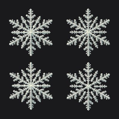 Snowflake Study