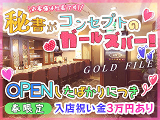 体入掲載GOLD FILEの画像