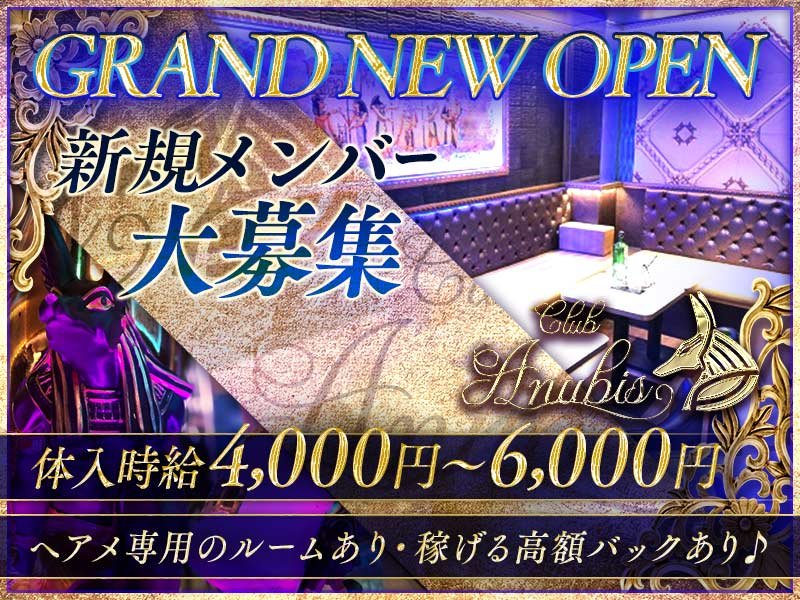 Club Anubis アヌビス 関内の求人情報 キャバクラ求人 バイトなら体入ドットコム