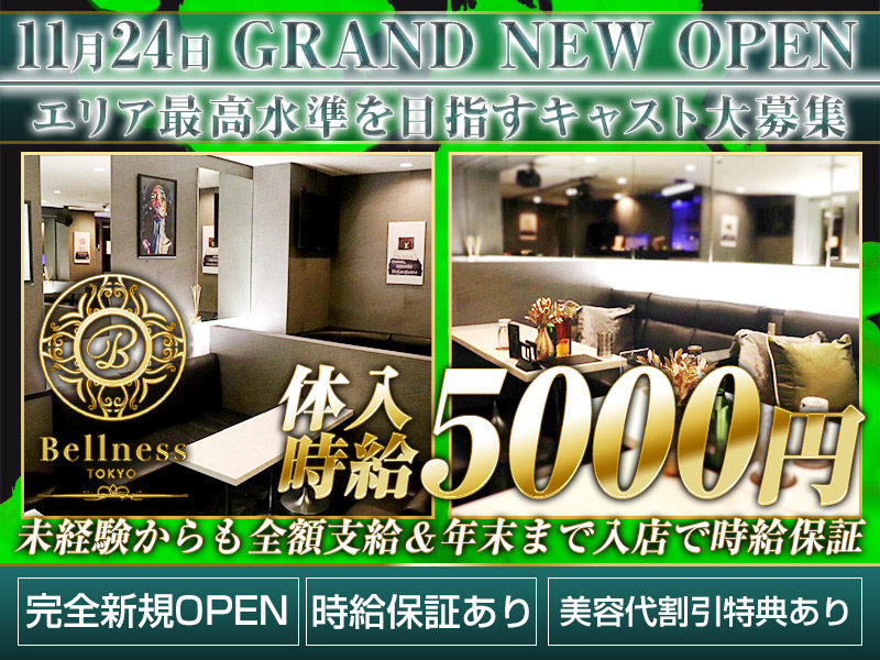 CLUB BELLNESS(べルネス)の体入画像