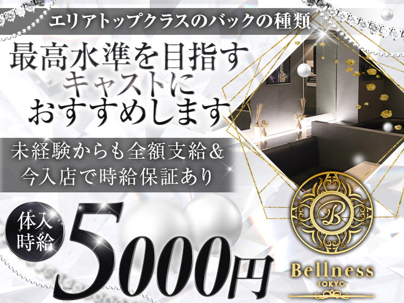 CLUB BELLNESS(べルネス)の体入画像