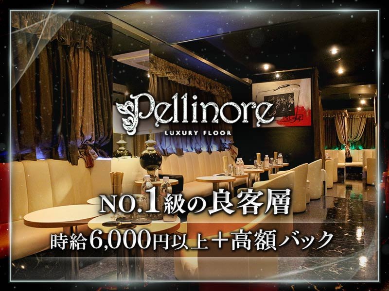 LUXURY FLOOR Pellinore(ペリノア)の体入画像