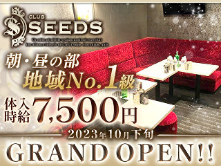 体入掲載SEEDS　morningの画像