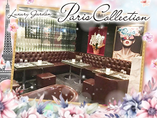 体入掲載Paris Collectionの画像