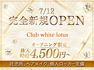 体入掲載Club white lotusの画像