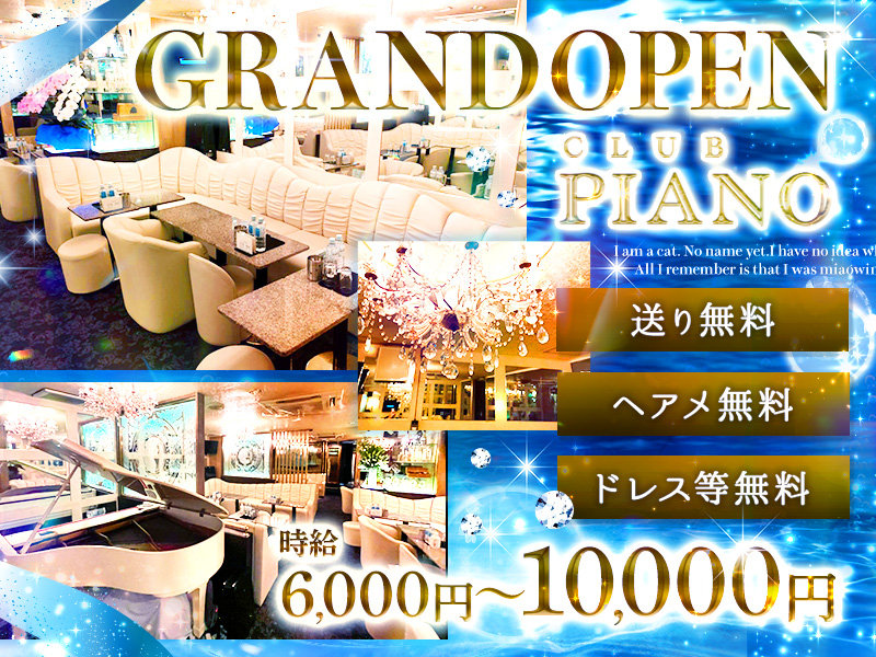 piano(ピアノ)の体入画像