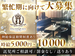 体入掲載Dachs Queenの画像