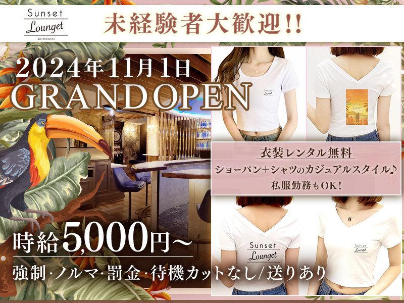 Sunset Lounget 新橋(サンセットラウンジェット)の体入画像
