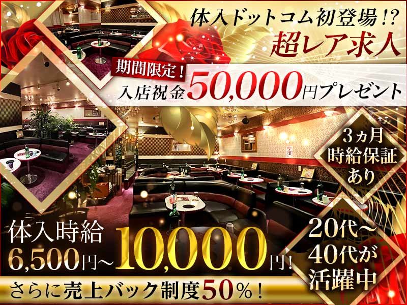 パブクラブ トレビの泉の体入画像