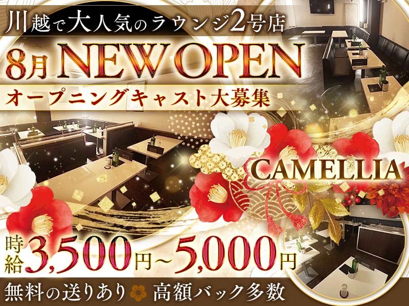 CAMELLIA(カメリア)の体入画像