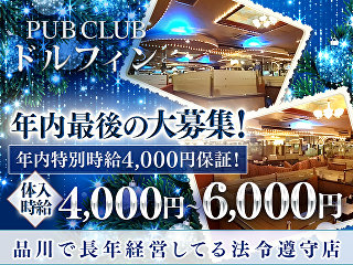 体入掲載Dolphinの画像