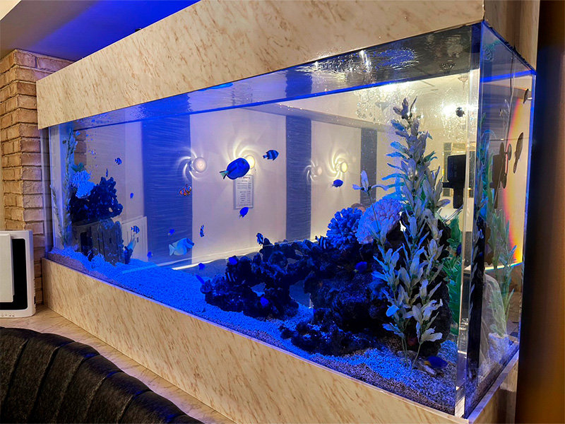 神奈川_川崎_CLUB Sherry(シェリー)_黒服求人_店内3