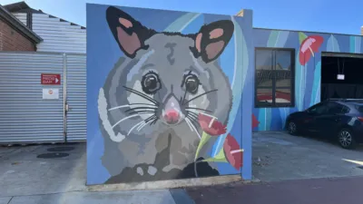 A mural of a possum painted on a wall in Mary Street Hindmarsh