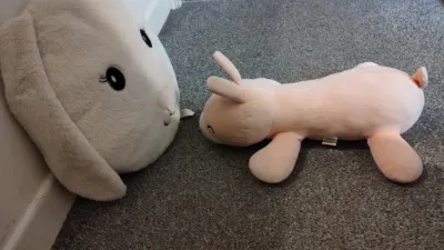 A big flat bunny cushion standing up next to a wall, with a long flat pink bunny facing it.