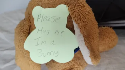 A bunny has a bear-shaped post-it stuck to its back, upon which is written "please hug me I'm a bunny"