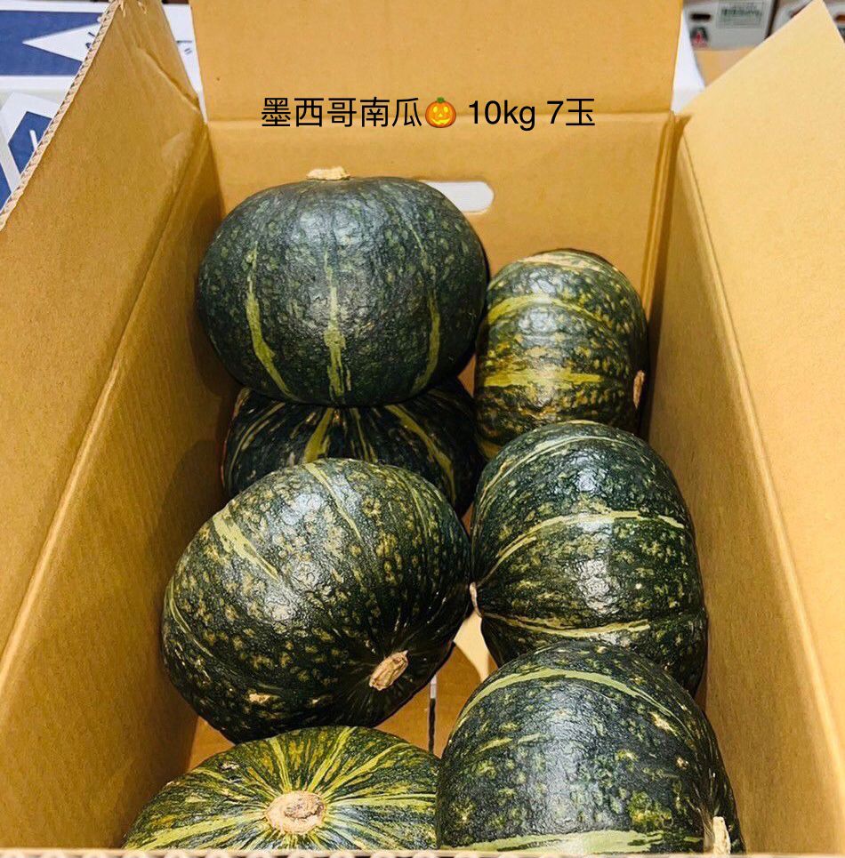 墨西哥南瓜(日本種) 10kg 7玉Mexico Pumpkin (Japan seed) 10kg 7pcs