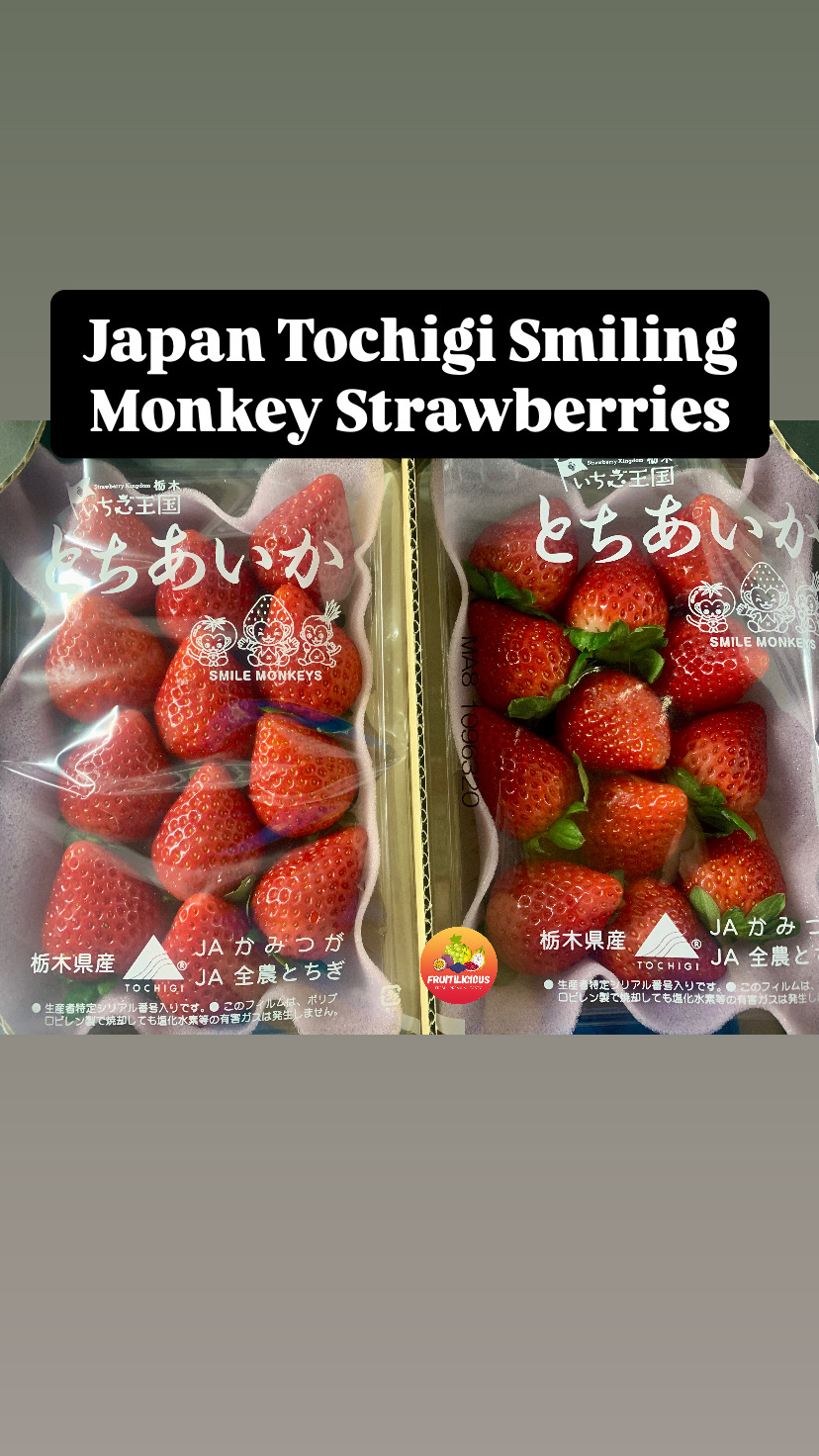 JAPAN TOCHIGI SMILING MONKEY STRAWBERRIES - FRUITILICIOUS SG