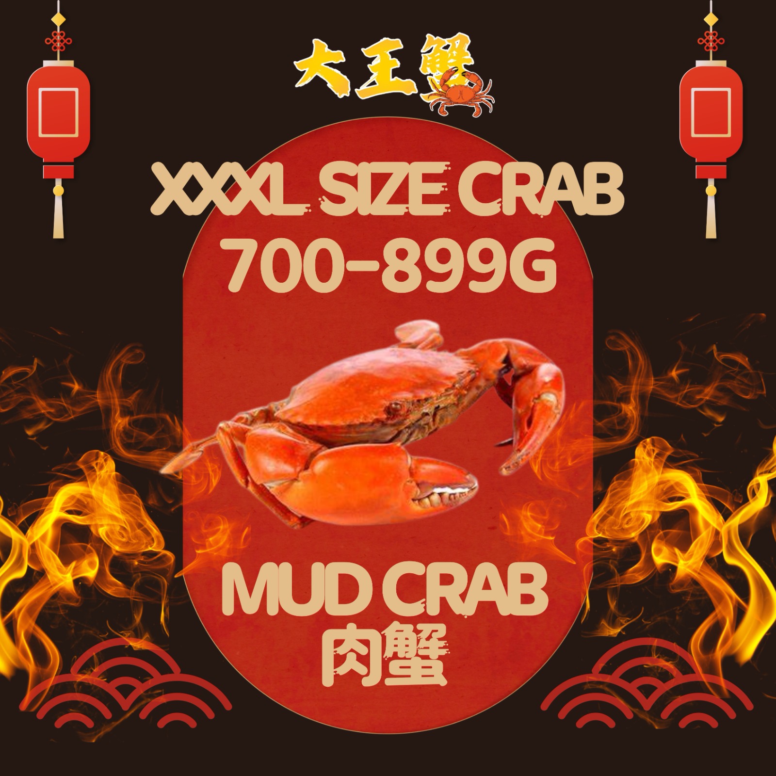 XXXL SIZE 肉蟹x 1只PCS (700-899G) - BIG WANG CRAB 大王蟹