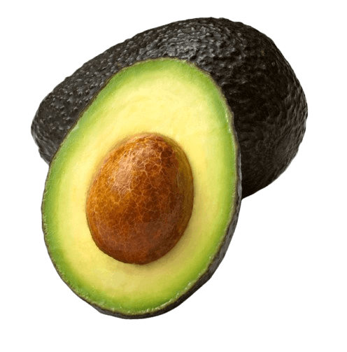 Aguacate Hass