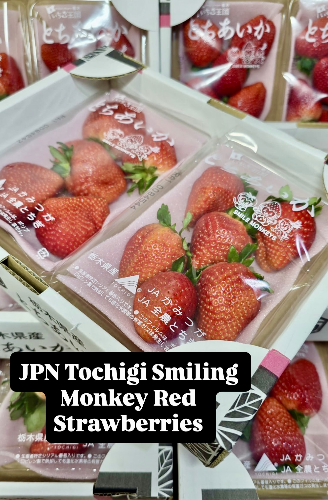 JAPAN TOCHIGI SMILING MONKEY STRAWBERRIES - FRUITILICIOUS SG