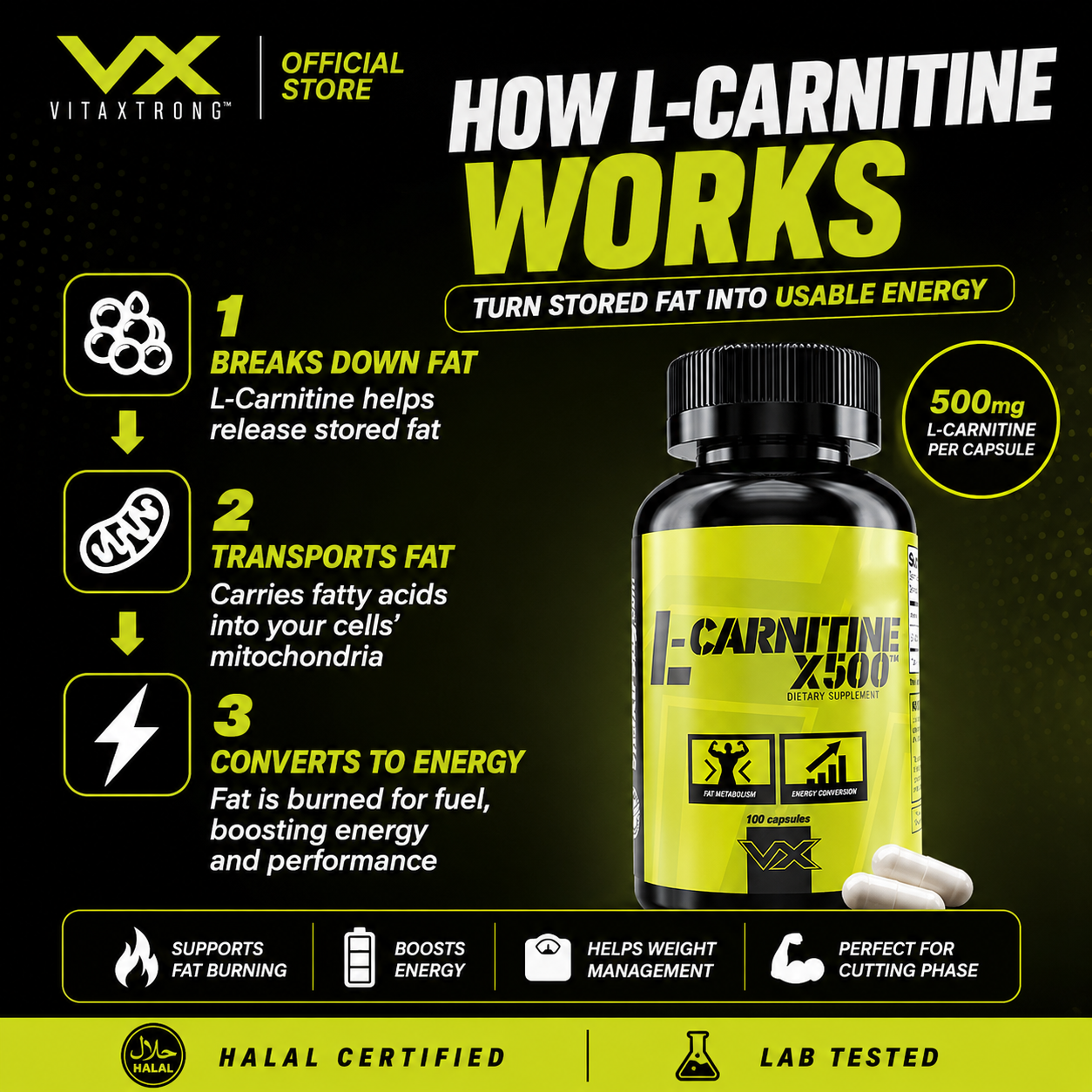 l carnitine vx VITAXTRONG™ L-Carnitine X500 Elite | Fat Metabolism • Weight Management • Energy Support • Performance dog energy support Oxytetracycline and Lidocaine Injection Formula:Liquid Carnitine helps improve energy