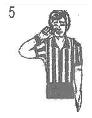 NCAA wrestling referee signal 5: Indicate blood timeout