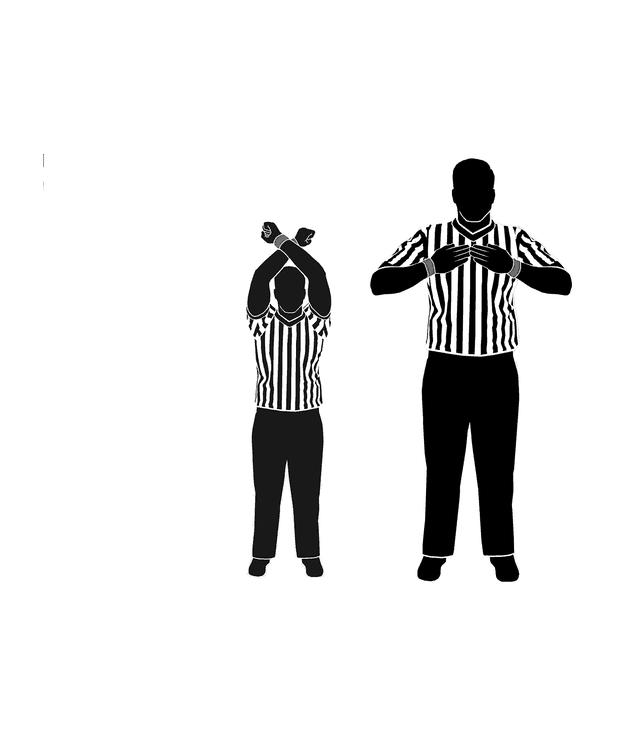 NFHS wrestling referee signal 3: Time-Out