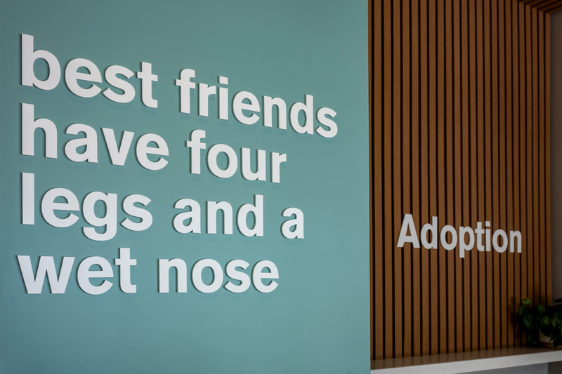 Spartanburg Pet Resource Center-16