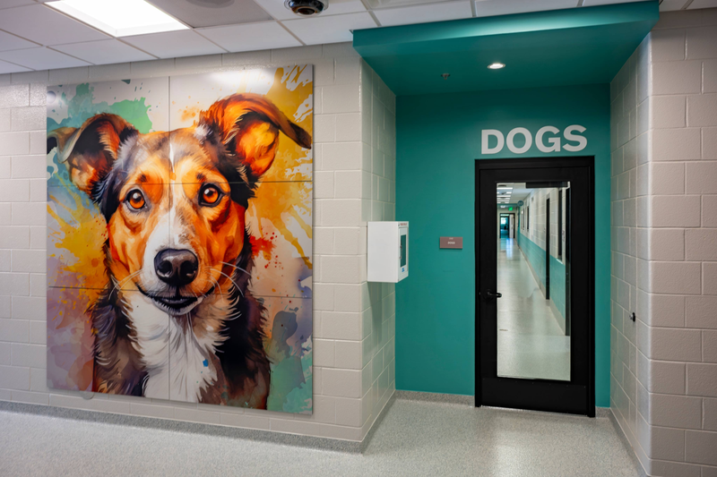 Spartanburg Pet Resource Center-7
