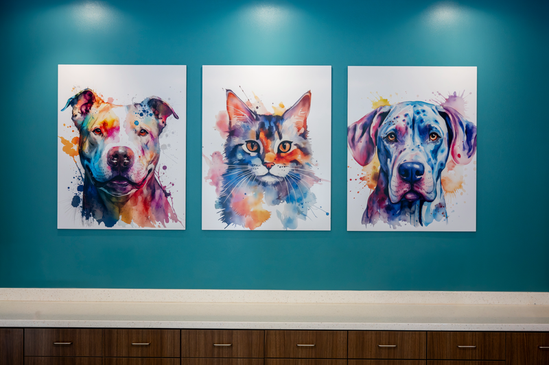 Spartanburg Pet Resource Center-9