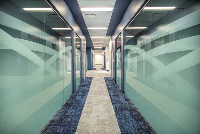 Floor to ceiling window films providing privacy and branded graphic on glass doors lining a hallway.