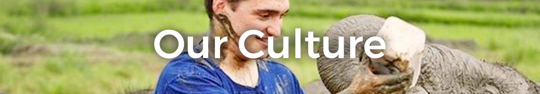 Culture