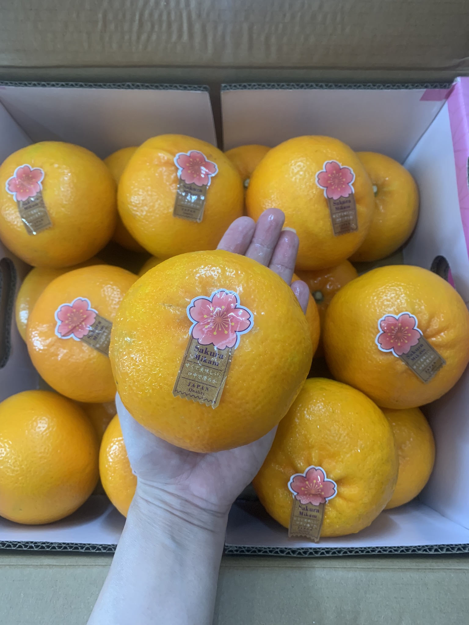 62771e04-cb3c-4a84-ac22-