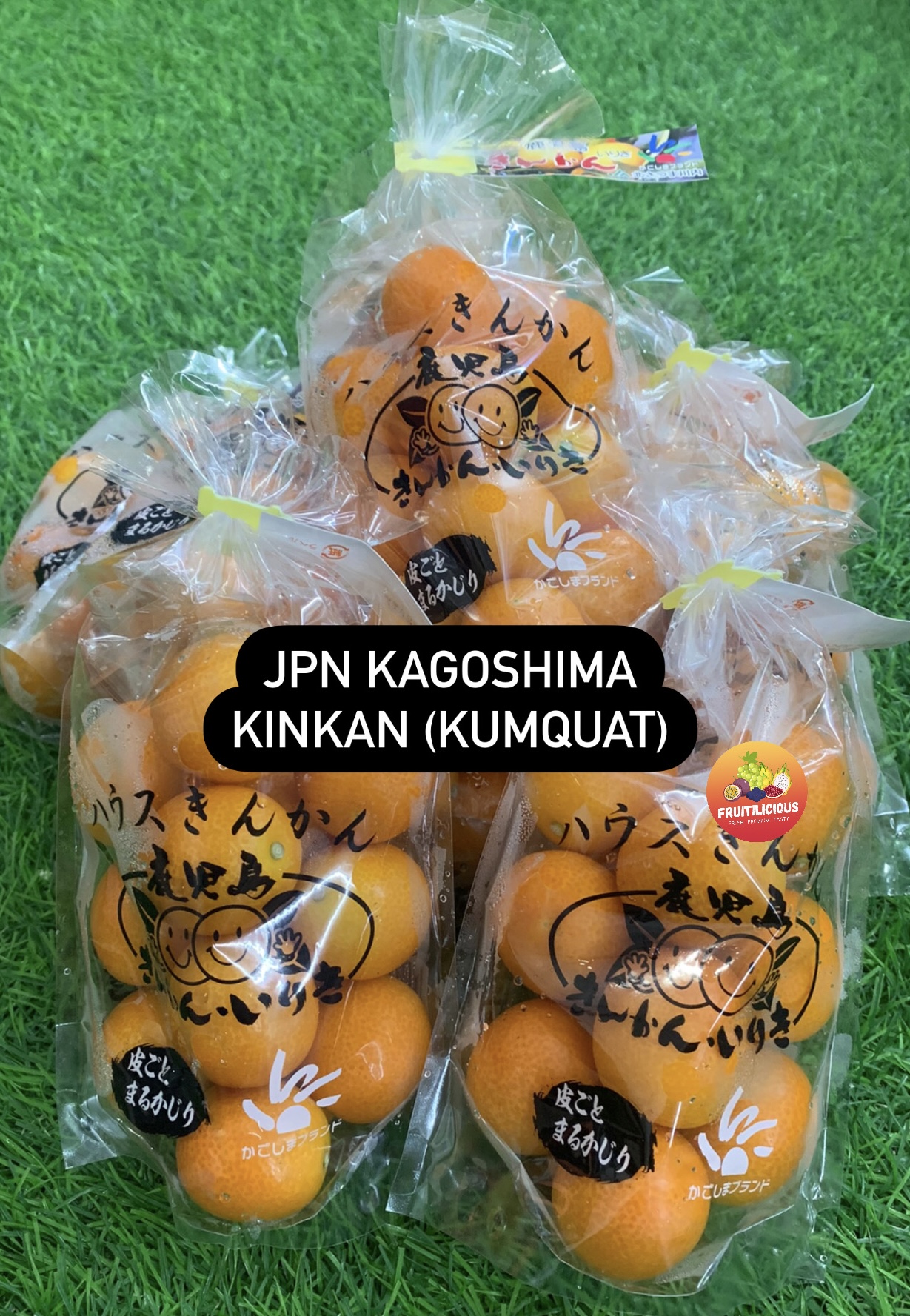 JPN KAGOSHIMA IRIKI KINKAN (KUMQUAT) - FRUITILICIOUS SG | Take App