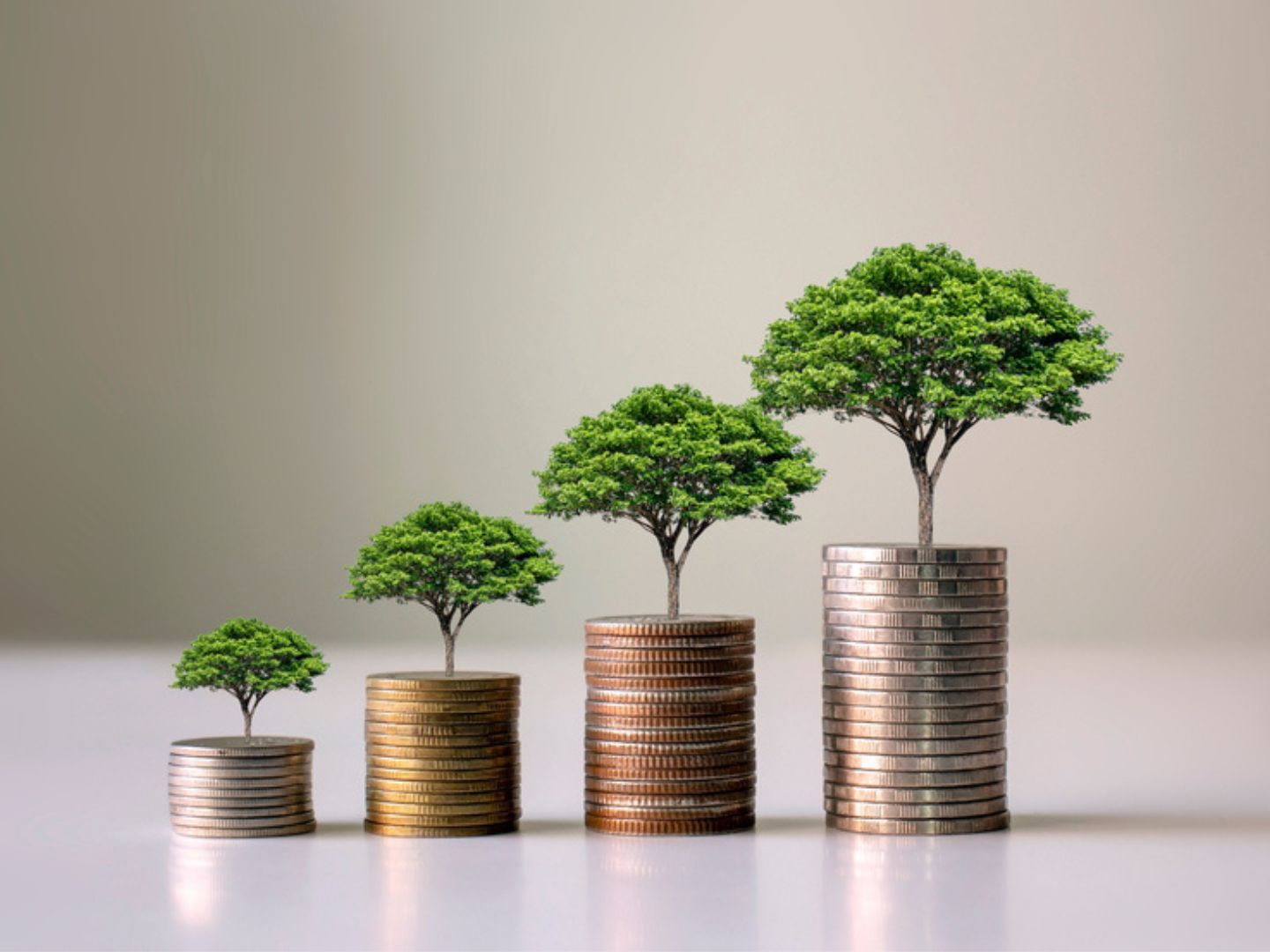 Odredi pravi alat Na skupu novčića raste drvo kao simbol rasta novca putem investicija