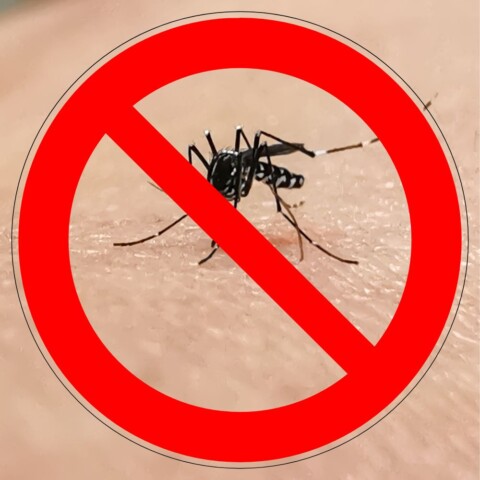 Otjerani komarac prekrižen crvenim znakom