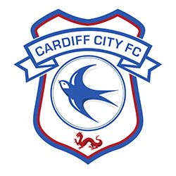 Cardiff City Stadium Events