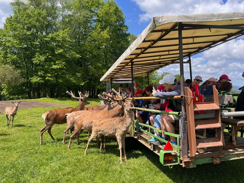 Jelení safari - Koukej farma