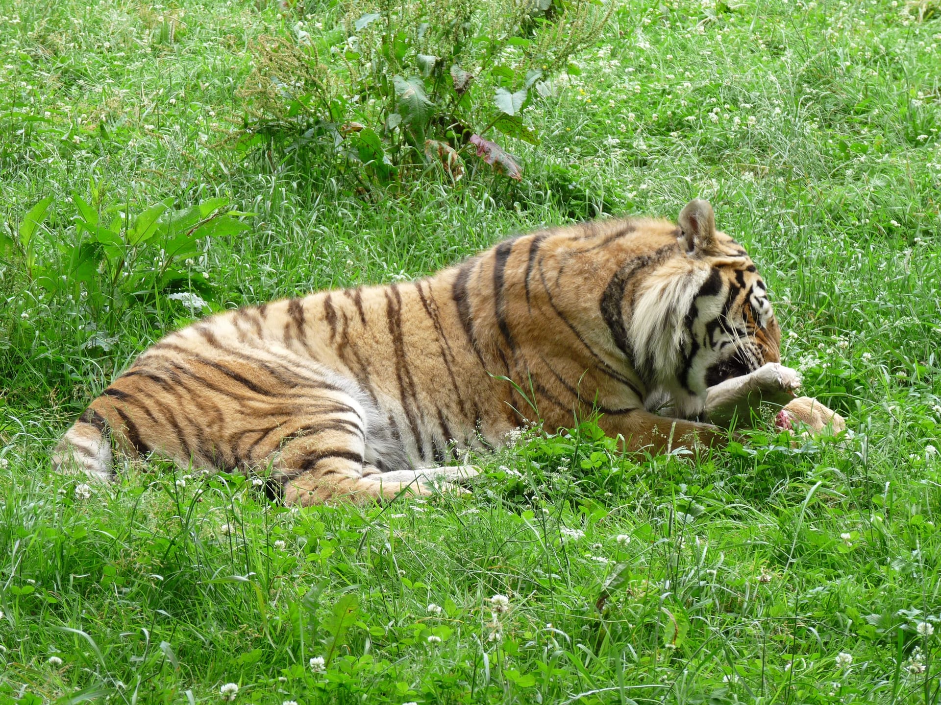 Zoo Tábor