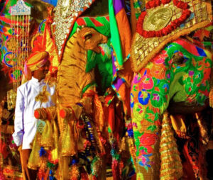 Jaipur Elephant Festival