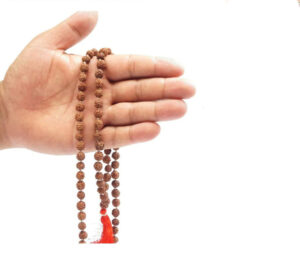 Rudraksha In Hand