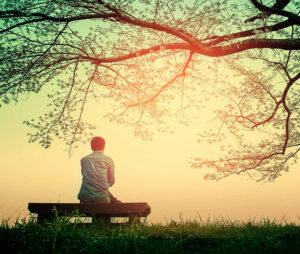 Man Sitting Under Tree