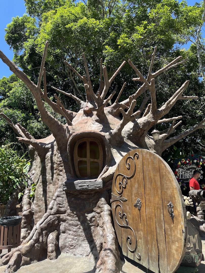 Fantástica Floresta - Trenzinho Parque Unipraias